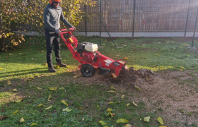 Elagueur Sainte-Luce-sur-Loire