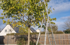 Elagueur Sainte-Luce-sur-Loire