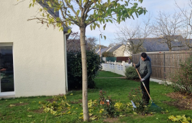 Elagueur Sainte-Luce-sur-Loire