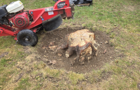 rognage de souche Sainte-Luce-sur-Loire