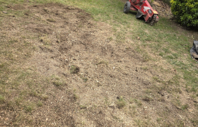 rognage de souche Sainte-Luce-sur-Loire